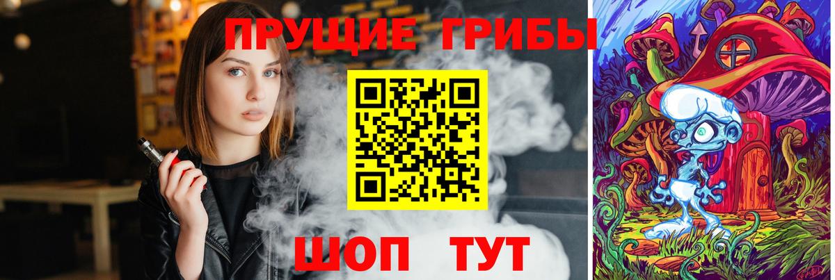 Галлюциногенные грибы Psilocybe Приморско-Ахтарск